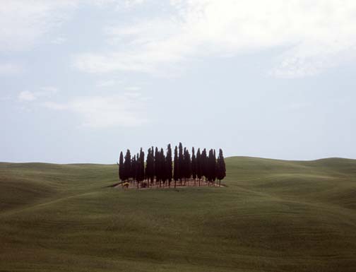 tusc1.jpg (12613 bytes)